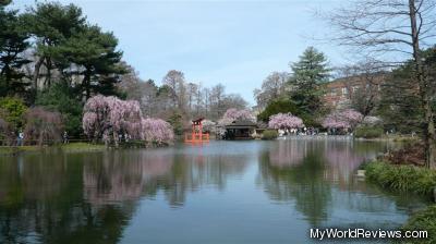 Japanese Hill and Pond Garden