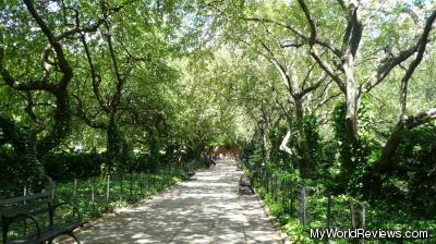 Crab apple tree path in the garden