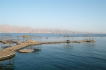 Eilat Dolphin Reef