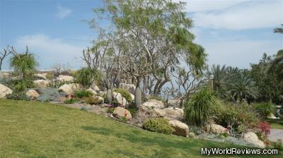 Another picture inside the Ein Gedi Botanical Gardens