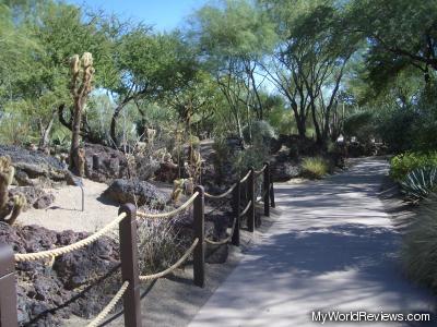 Botanical Cactus Gardens