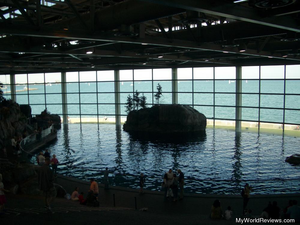 Review of Shedd Aquarium at MyWorldReviews.com