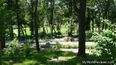 A path of trees in Snug Harbor