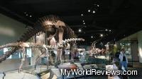 Hall of Dinosaurs inside the Evolving Planet