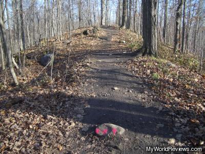 Notice the pink paint on one of the rocks near the bottom of the picture marking the trail